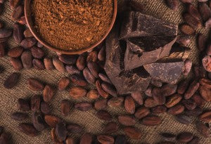 EL ALIMENTO DE LOS DIOSES: el CACAO