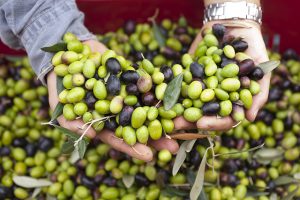 EL SUPERALIMENTO DEL MEDITERRÁNEO