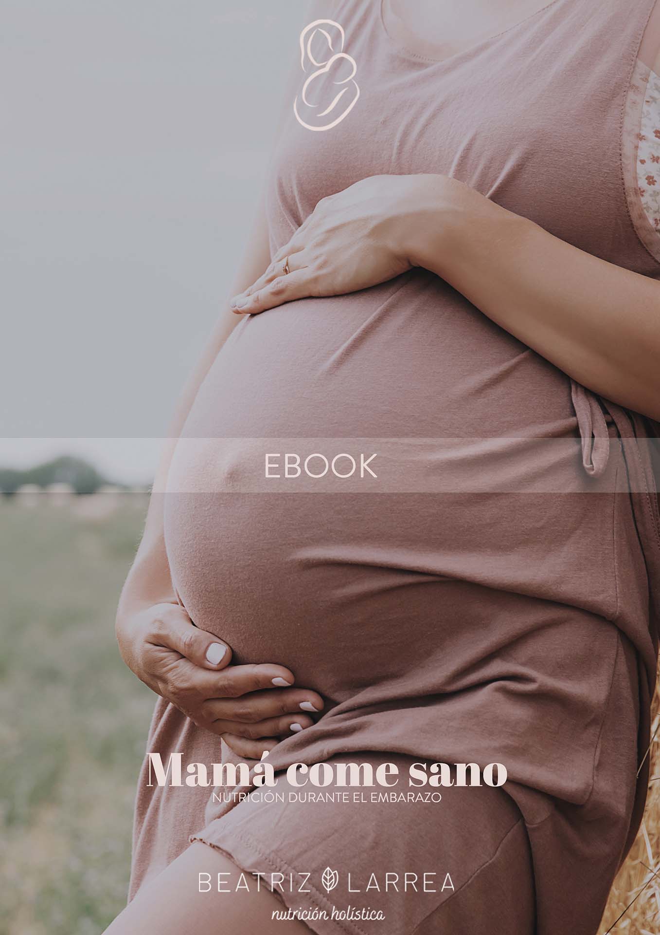Diario de embarazo y acompañamiento Mamá tendrá un bebé - Sol Solete