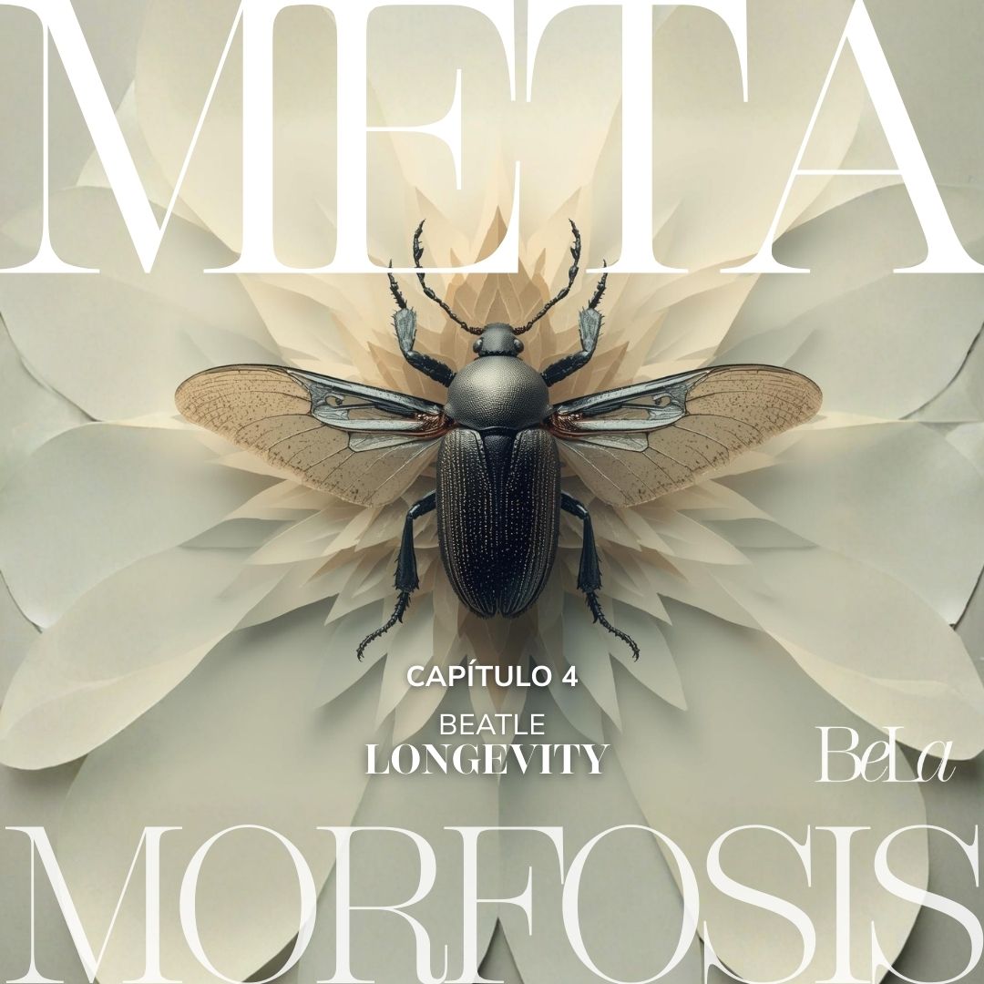 Metamorfosis LONGEVIDAD+