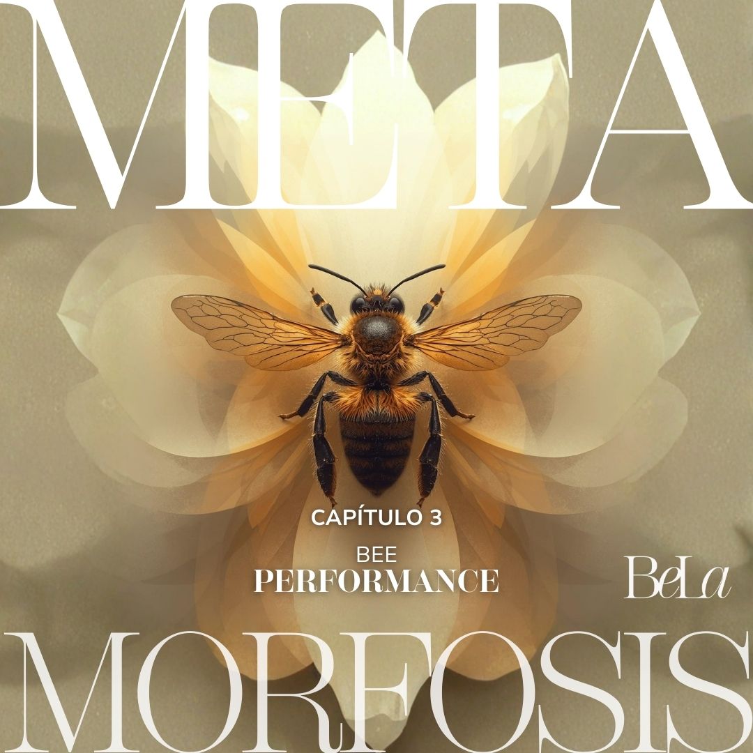 Metamorfosis Performance
