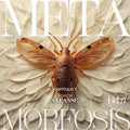 Metamorfosis Cleanse