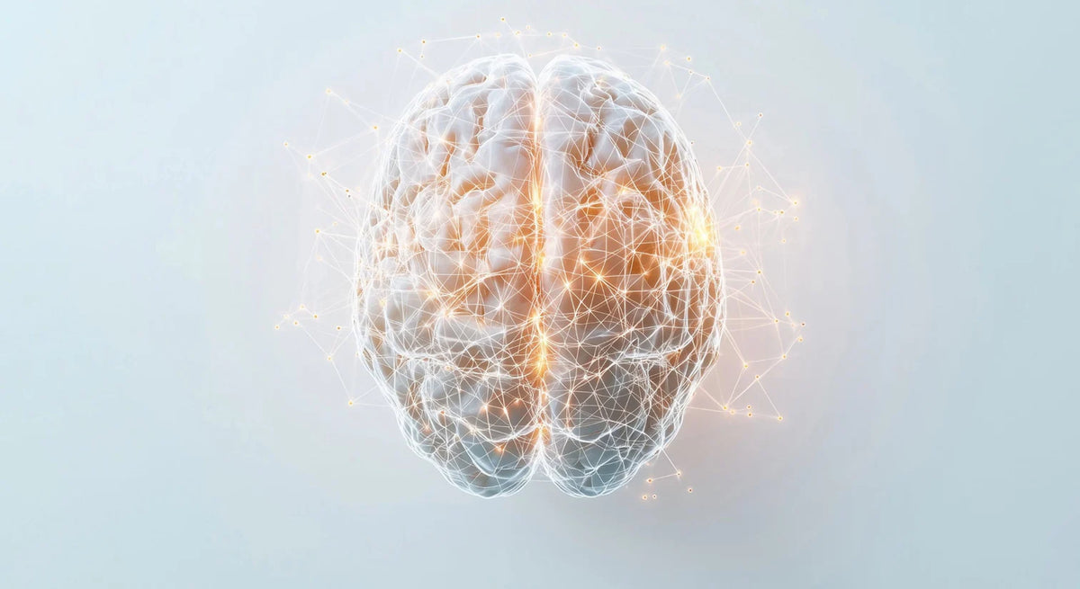 A nadie nos enseñan a cuidar el cerebro