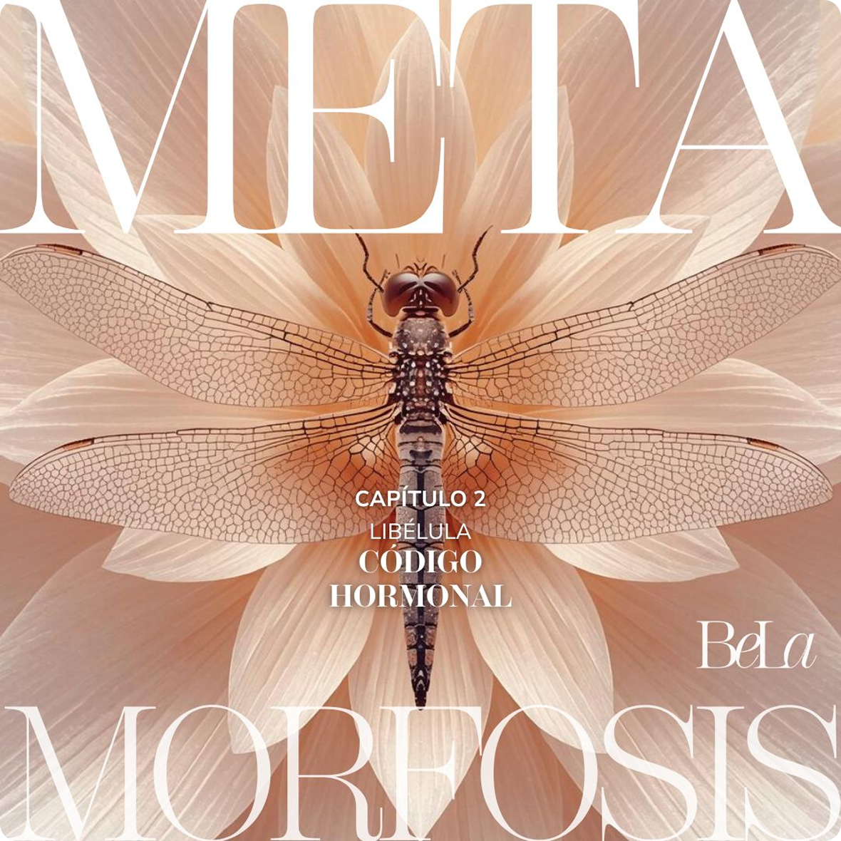 METAMORFOSIS - Balance early bird