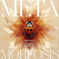 Metamorfosis BEAUTY