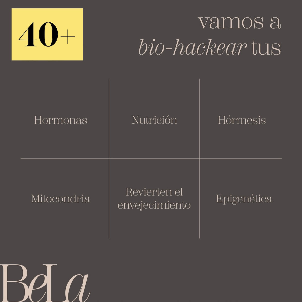 40+ PREGRABADO