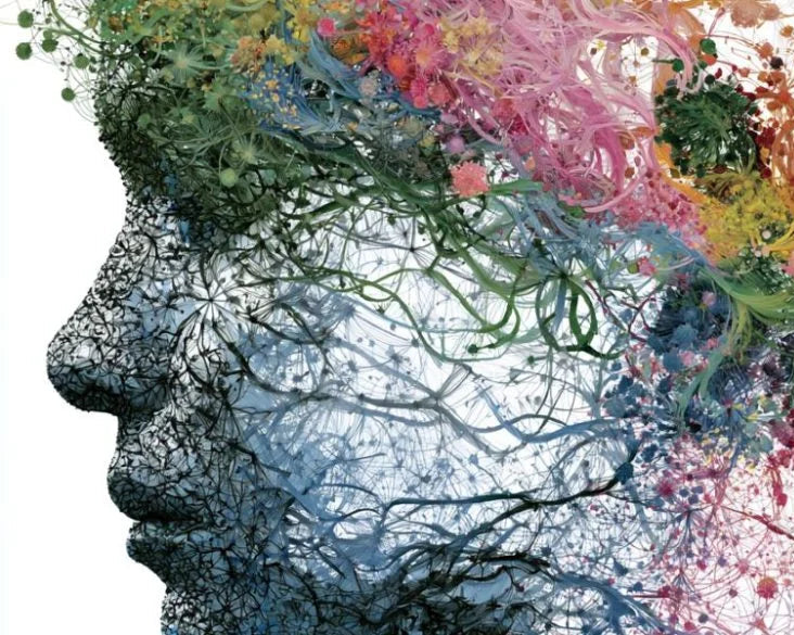 La biología detrás de tu rendimiento
