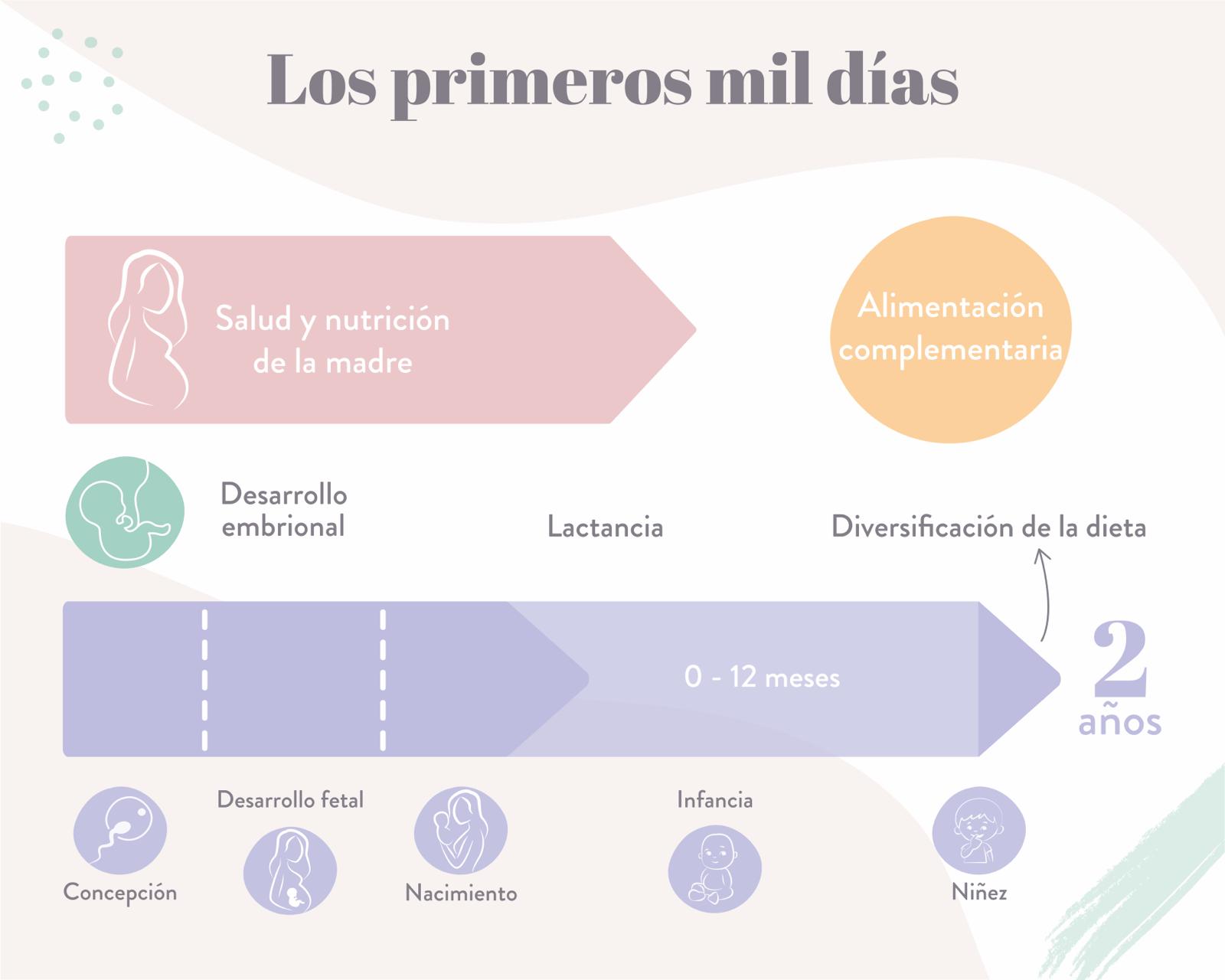 1000_dias_grafico